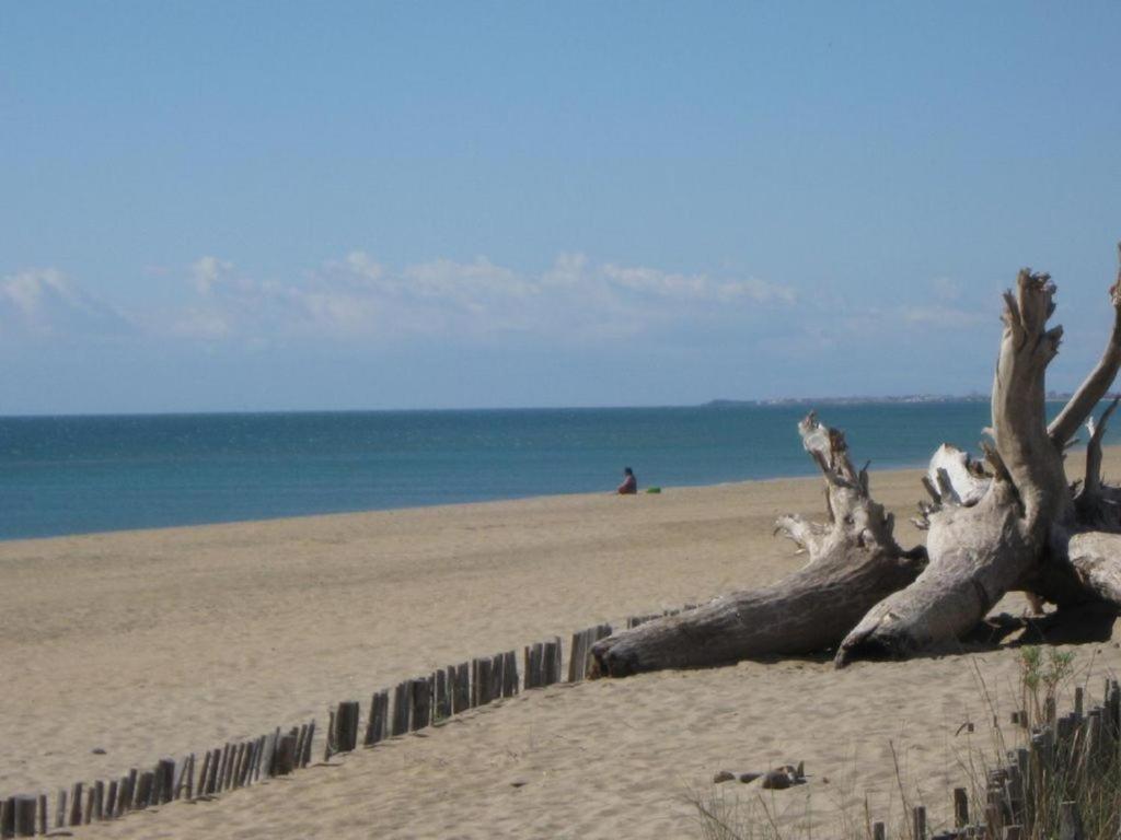 L'Etoile De Mer Sète Zewnętrze zdjęcie